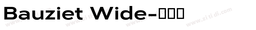 Bauziet Wide字体转换